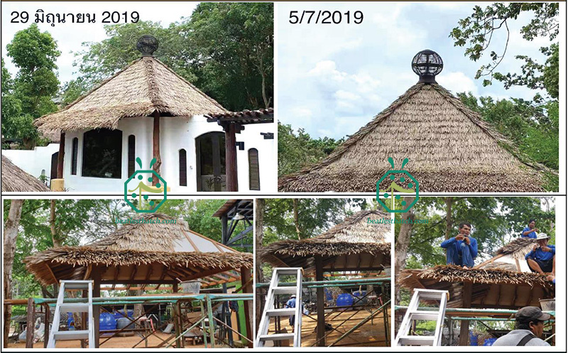 Installazione di tetto di paglia artificiale per resort sul lungomare, villa sulla spiaggia dell'hotel, cottage con vista sull'oceano, patio del parco municipale, gazebo sul retro, rifugio tiki hut