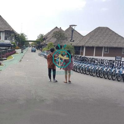 Eco-friendly Artificial Alang Alang Thatch Roofing for Beach Bar Construction